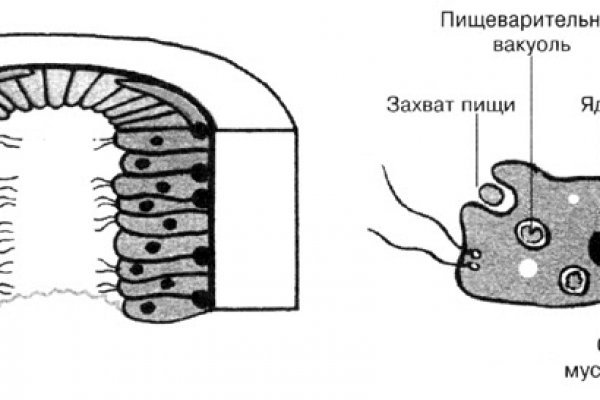 Black sprut зеркало bs2web top