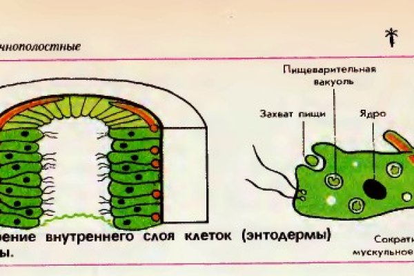 Прямая ссылка на блэкспрут blacksprut wiki